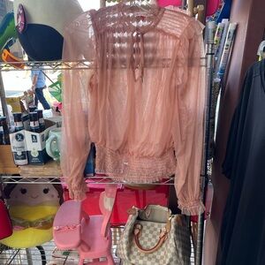 Chic Sheer Blouse in Soft Pink